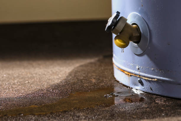 Best Water damage mitigation services  in Troy, PA