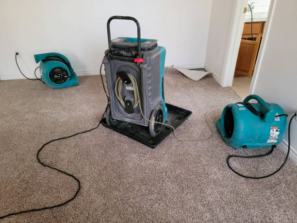 Best Professional water damage repair  in Troy, PA