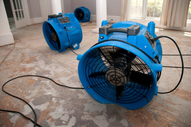 Trusted Troy, PA Water damage restoration Experts