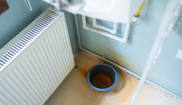 Best Flooded house restoration  in Troy, PA